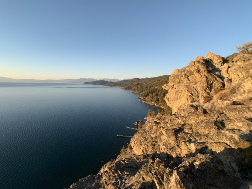 iphone lenses - if you look at the bush in the right-hand corner of this frame...