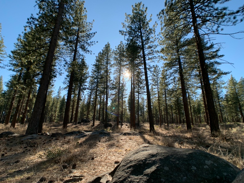 iphone lenses - moment 18mm lens flare test left us impressed and wondering if it...