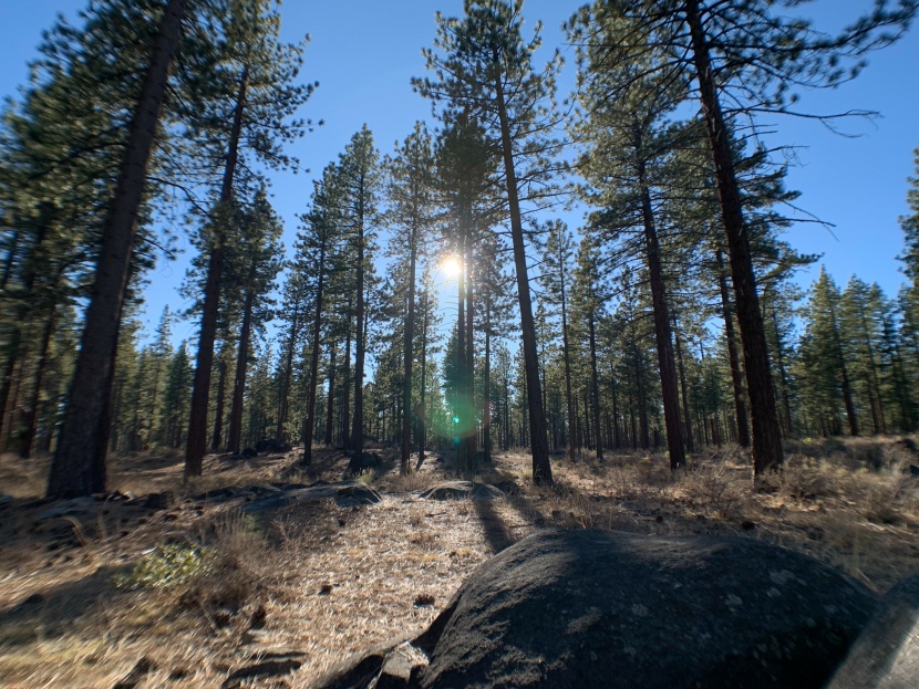 iphone lenses - while the xenvo is a noticeable step down from others in this...