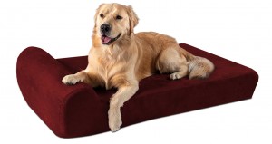 dog bed