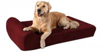 dog bed