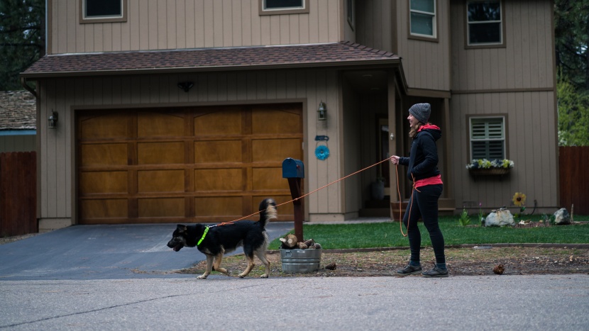bear giving the illumiseen collar a try.
