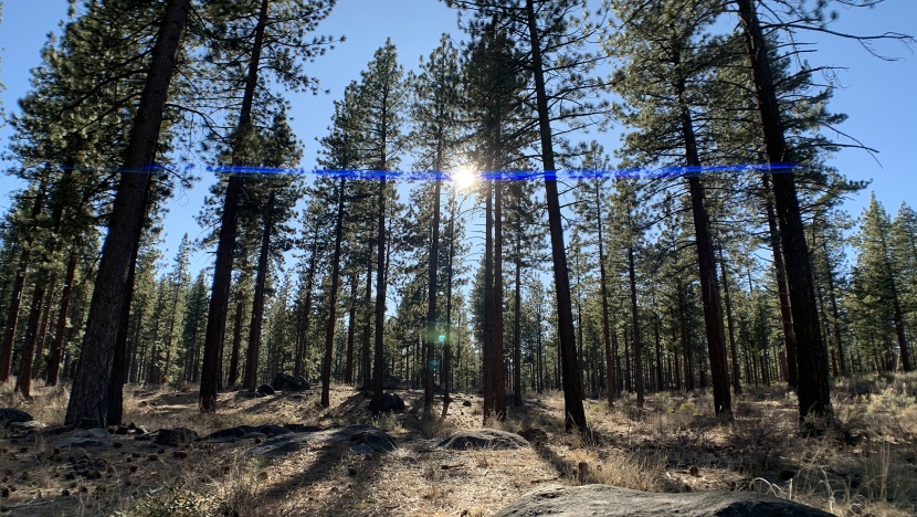 the moment anamorphic has a distinct horizontal flare that's a...