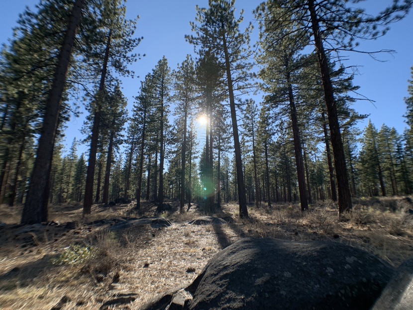 the xenvo is a step below the other top performers in the flare...