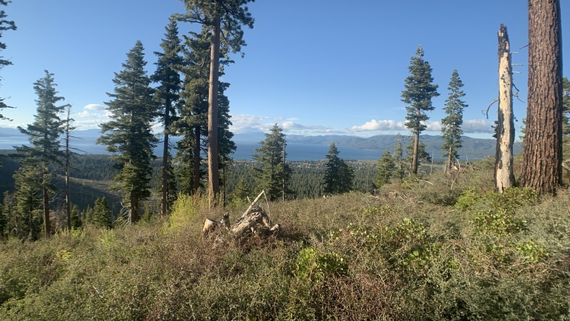 the result of de-squeezing the image is everything appears normal...