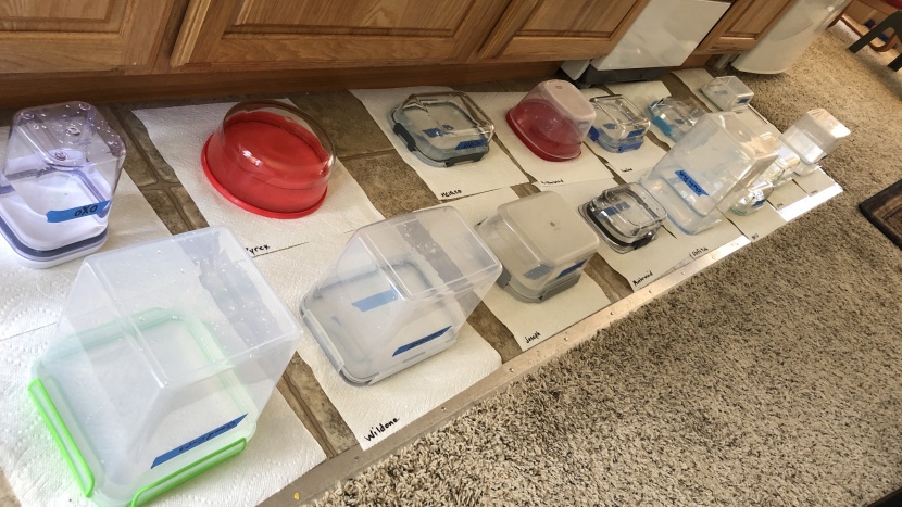 the seal test involved filling the vessels with water, turning them...