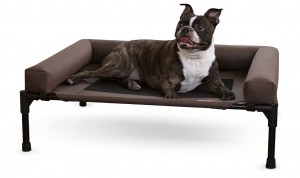 k&h pet products original bolster dog & cat cot