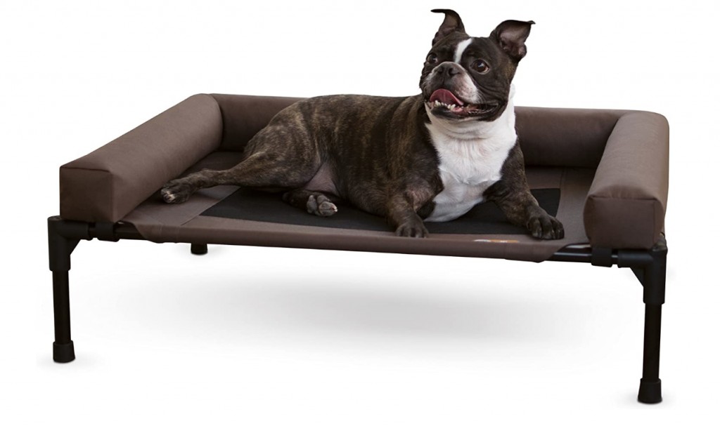 Visual Reference: The Best Elevated Dog Bed For Every Use