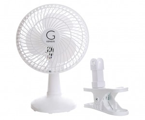 fan
