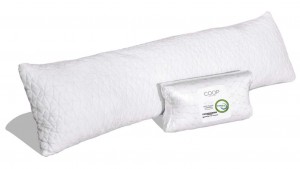 Coop home outlet goods body pillow