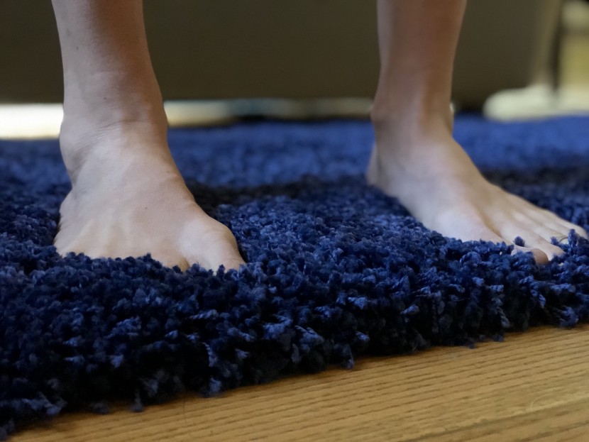 area rug - it takes a lot to make us want to get out of bed in the morning, but...