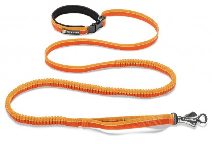 Lead photo for Best Overall Bungee Dog Leash
