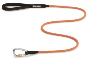 dog leash