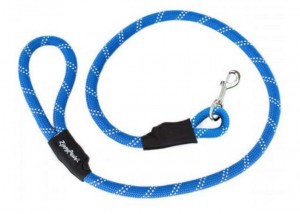 dog leash