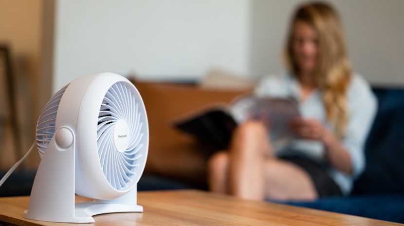 The 3 Best Table Fans of 2025 Tested Rated