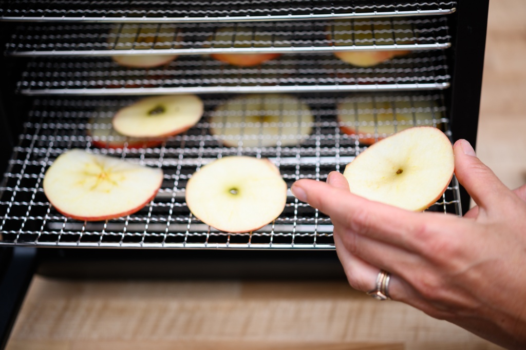 Magic Mill Dehydrator Review and Recipe for Cinnamon Apple Rings! 