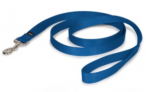 dog leash