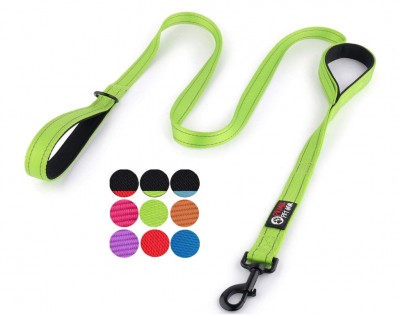 Lead photo for Durable, Colorful Leash