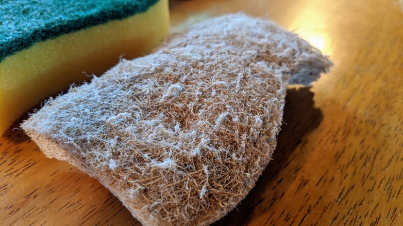 sponge - while marketing may have you believe that products like the...