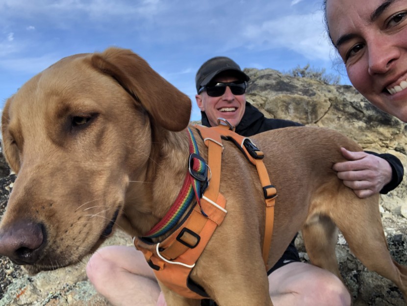 dog harness - despite its unconventional no-pull design, the ruffwear front range...