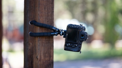 Lead photo for Bendy and Budget-Friendly