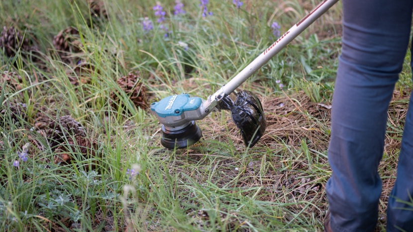 string trimmer - we liked that this tool has plenty of power to cut lots of plants at...