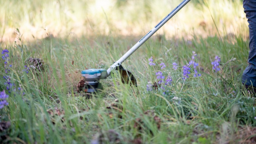 makita xru15pt 36v - this weed-eater cut through even the toughest plants.