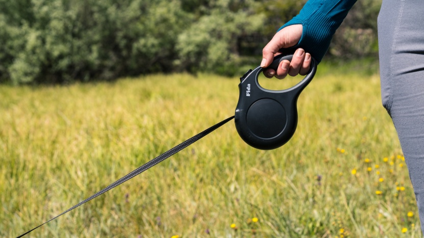 the simple, compact handle of the rida retractable leash is...