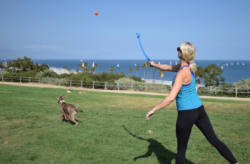 nala has been jealous of all the chuckit ball launchers she's seen...