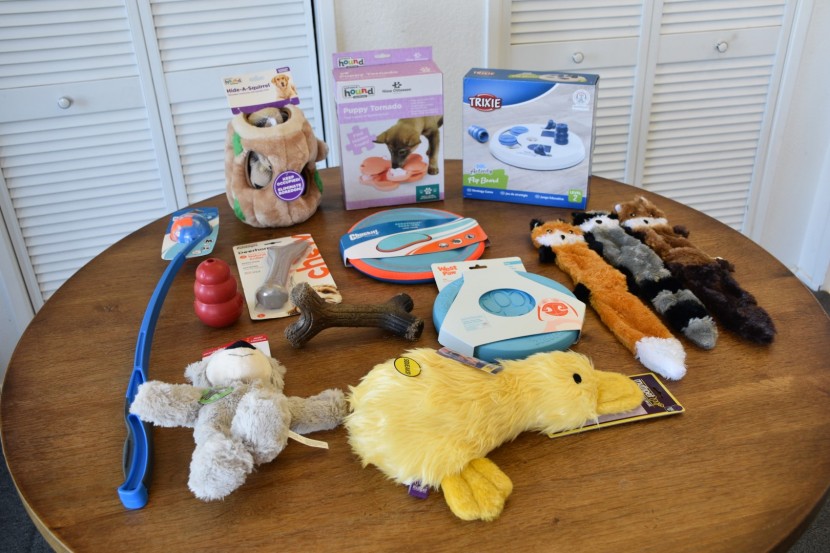 our lineup of dog toys ready for action.