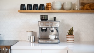 Breville Duo-Temp™ Pro Manual Espresso Machine, Brushed Stainless Steel