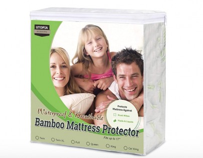 Lead photo for Bamboo on a Budget