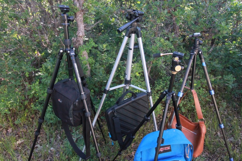 tripod - all of these tripod options have hooks under the main post, which...