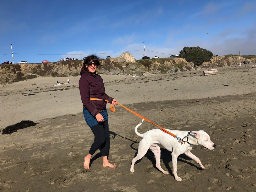 dog leash - we enjoyed using the adjustable handle as a waist strap, too.