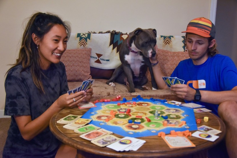 board game - settlers of catan is an excellent mix of competitive entertainment...