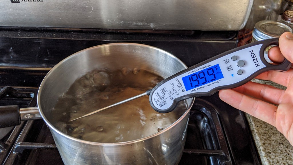 The 6 Best Meat Thermometers of 2024