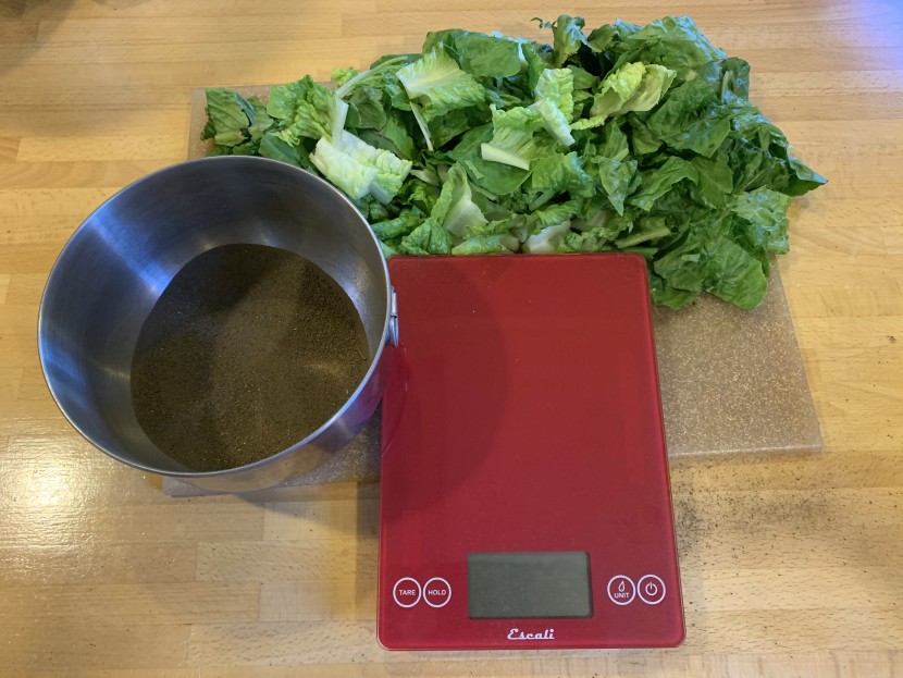 prepped and ready for the dirt removal test.