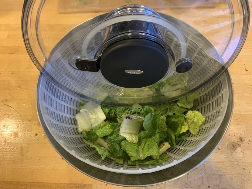 salad spinner - the oxo, winner of the dirt test.