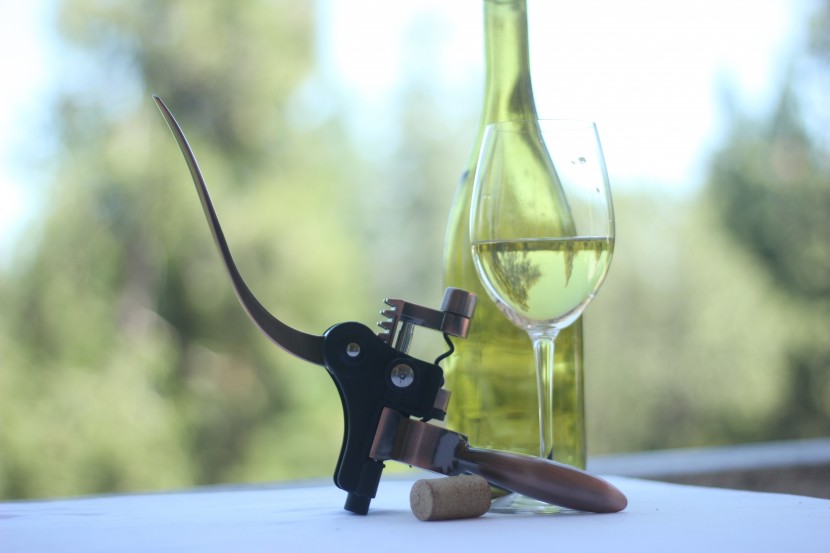 wine opener - the visual appeal of this rabbit-style opener called out to many of...