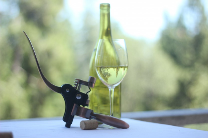 wine opener - the demenades corkscrew was a clear winner in terms of aesthetics