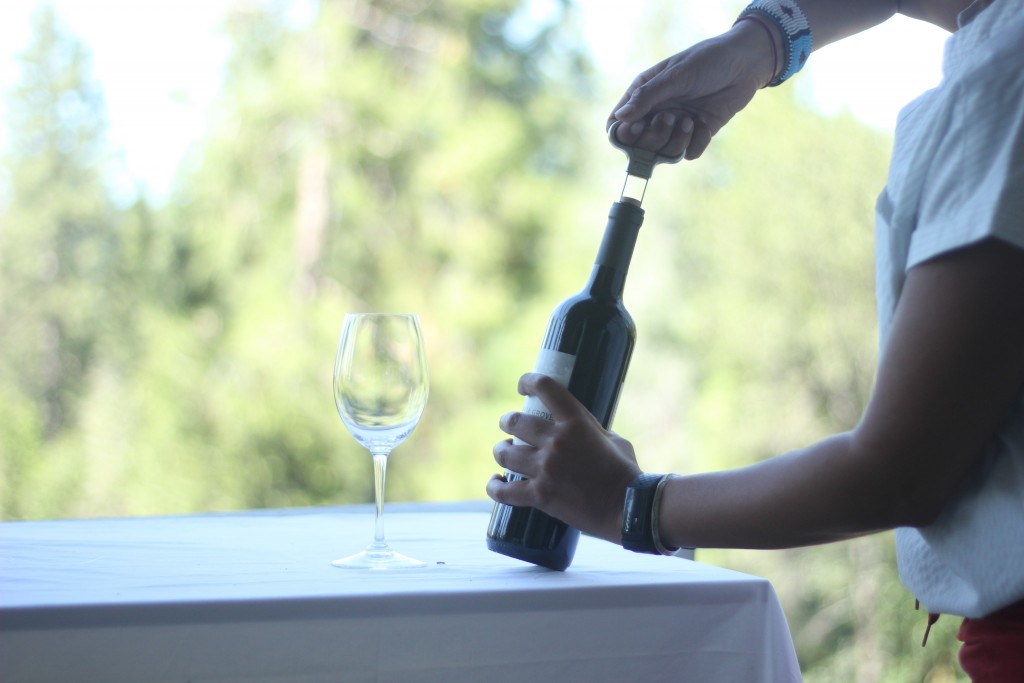 ✓ TOP 5 Best Easiest Wine Bottle Openers for Seniors
