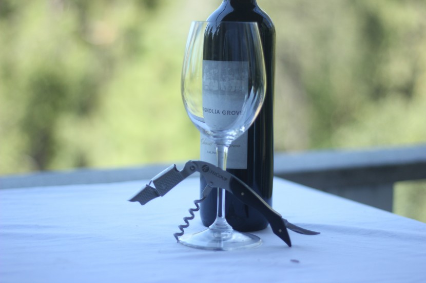 wine opener - the hicoup waiter's corkscrew includes a foil cutter and beer bottle...