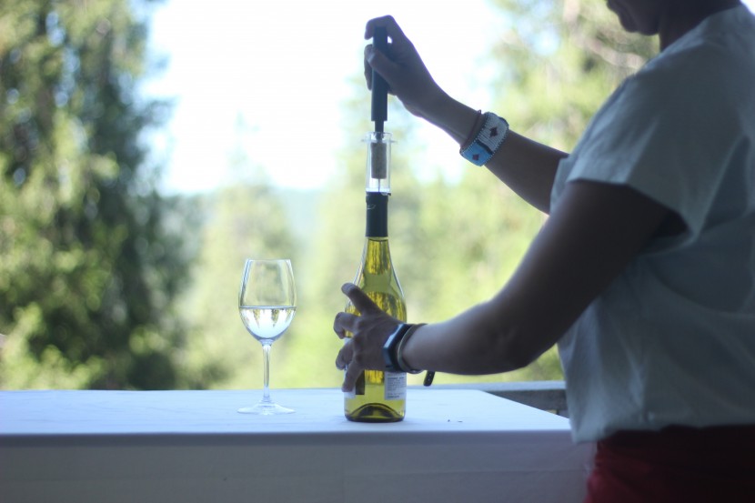 wine opener - the wine ziz air pressure opener stood out as easy to use as it...