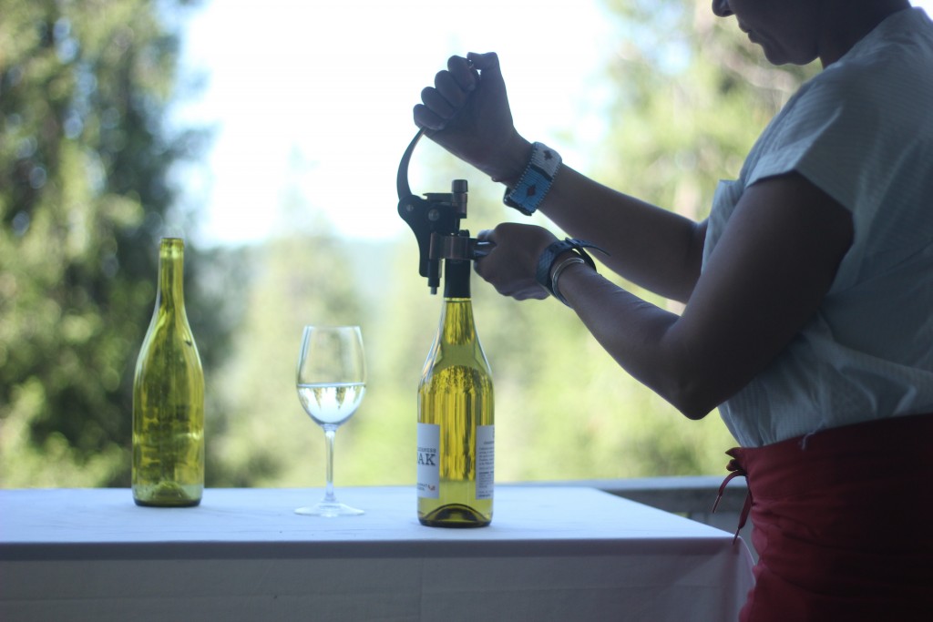 Top 7 Best Electric Wine Bottle Openers