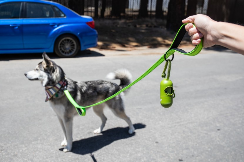 dog leash - as dog owners, there are few things worse than being caught in...