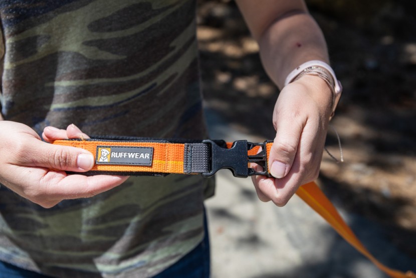 dog leash - the adjustable handle on the roamer makes it easy to strap the leash...