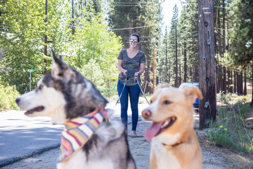 testing the fida and tug extendable leashes side by side.