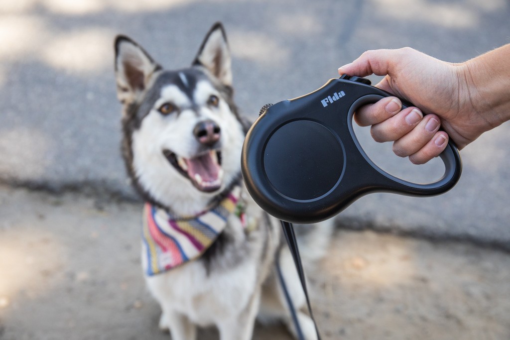The 5 Best Dog Leashes