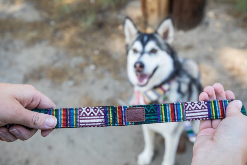 the pattern on the embark urban dog leash caught many eyes on the...