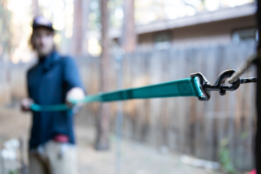 dog leash - to test the strength of each leash, we performed a number of hard...